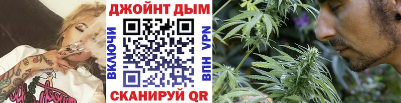 Бошки марихуана сатива  Жуковка 